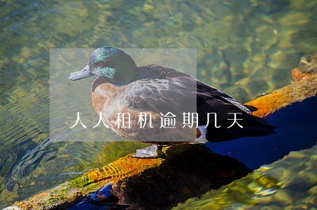 人人租机逾期几天 人人租机逾期几天