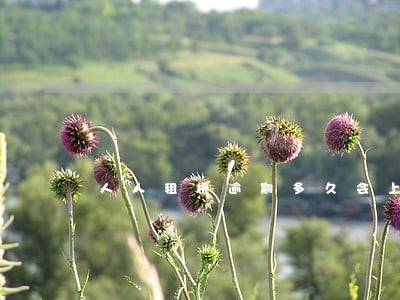 人人租机逾期多久会上征信 人人租机逾期多久会上征信