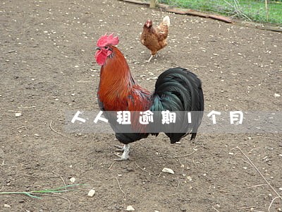 人人租逾期1个月 人人租逾期1个月