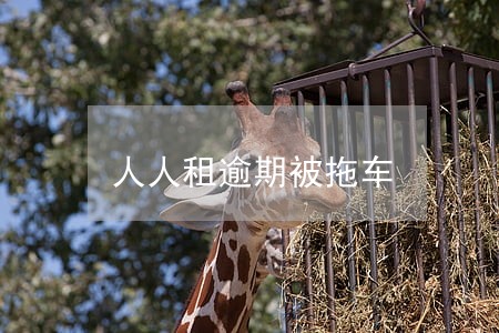人人租逾期被拖车 人人租逾期被拖车