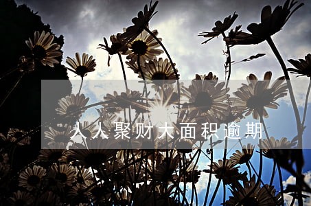 人人聚财大面积逾期 人人聚财大面积逾期