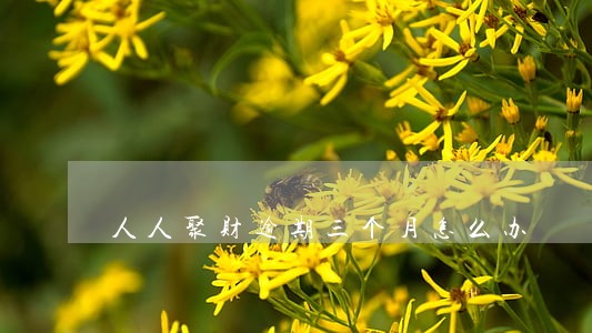 人人聚财逾期三个月怎么办 人人聚财逾期三个月怎么办