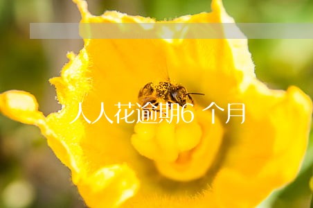 人人花逾期6个月 人人花逾期6个月