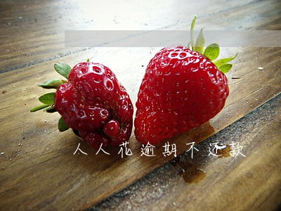 人人花逾期不还款 人人花逾期不还款