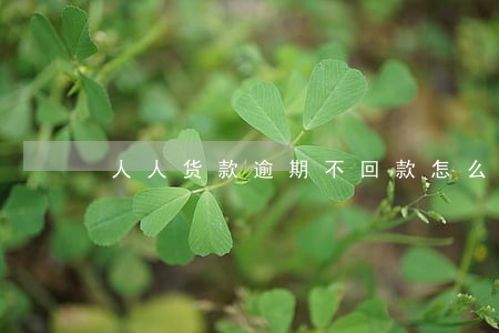 人人货款逾期不回款怎么办 人人货款逾期不回款怎么办