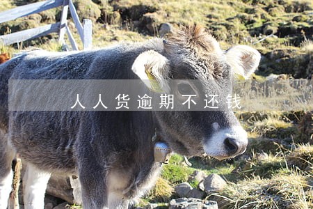 人人货逾期不还钱 人人货逾期不还钱
