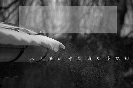 人人贷U计划逾期债权标 人人贷U计划逾期债权标
