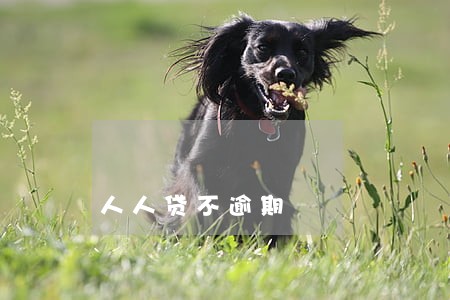 人人贷不逾期 人人贷不逾期