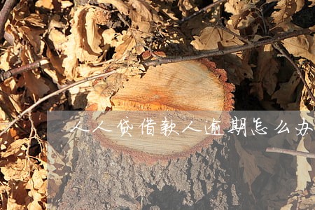 人人贷借款人逾期怎么办 人人贷借款人逾期怎么办
