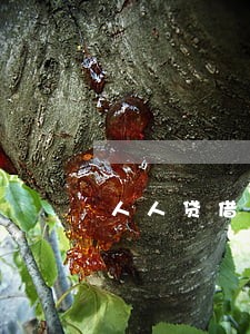 人人贷借款人逾期率多大 人人贷借款人逾期率多大