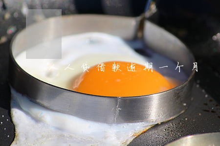 人人贷借款逾期一个月 人人贷借款逾期一个月