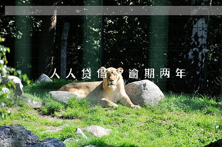 人人贷借款逾期两年 人人贷借款逾期两年
