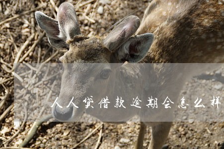人人贷借款逾期会怎么样 人人贷借款逾期会怎么样