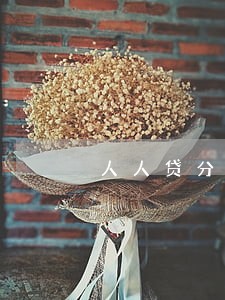 人人贷分期逾期会怎么样 人人贷分期逾期会怎么样