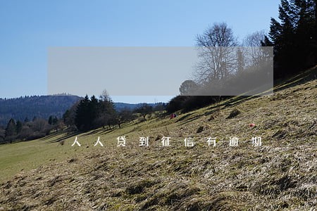 人人贷到征信有逾期