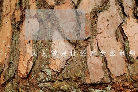人人贷只让还本金跟利息