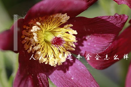 人人贷只还本金会怎么样 人人贷只还本金会怎么样