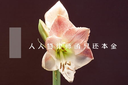 人人贷律师函只还本金 人人贷律师函只还本金