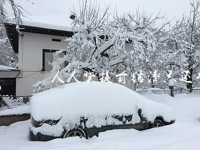 人人贷提前结清只还本金吗 人人贷提前结清只还本金吗