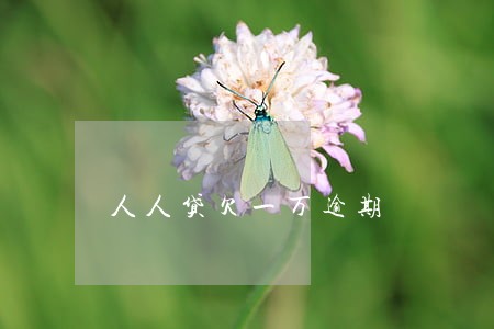 人人贷欠一万逾期 人人贷欠一万逾期