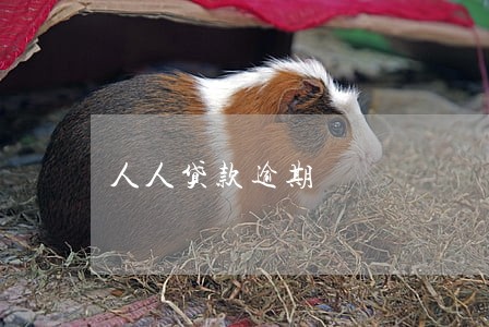 人人贷款逾期 人人贷款逾期