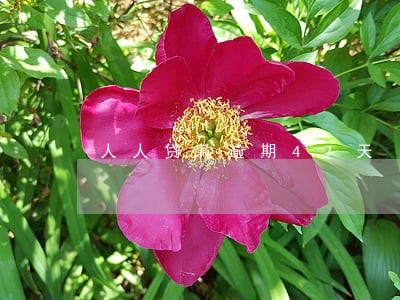 人人贷款逾期47天 人人贷款逾期47天