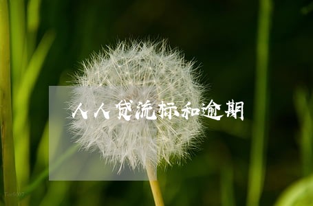 人人贷流标和逾期 人人贷流标和逾期