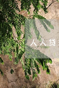 人人贷理财有没有逾期 人人贷理财有没有逾期