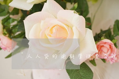 人人贷的逾期管理费合理吗