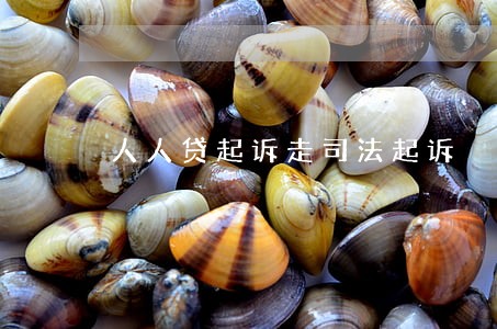 人人贷起诉走司法起诉 人人贷起诉走司法起诉