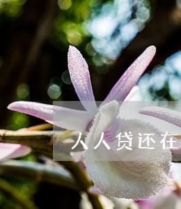 人人贷还在逾期吗 人人贷还在逾期吗