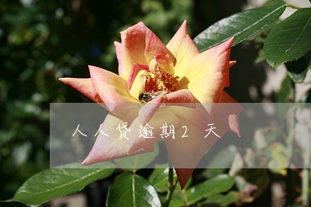 人人贷逾期2天 人人贷逾期2天
