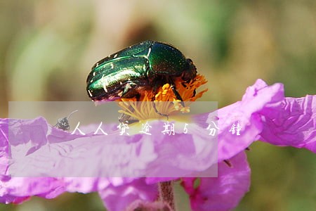 人人贷逾期5分钟 人人贷逾期5分钟