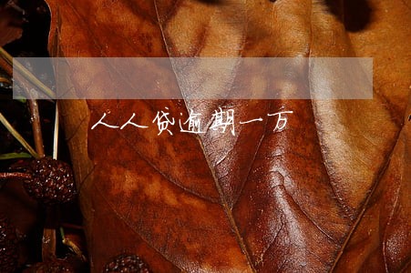 人人贷逾期一万