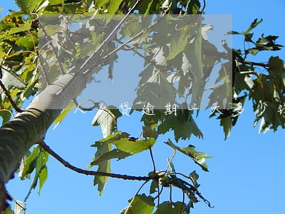 人人贷逾期一天多少钱 人人贷逾期一天多少钱