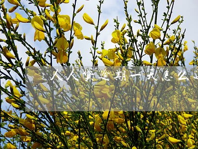 人人贷逾期一天怎么还短信通知 人人贷逾期一天怎么还短信通知