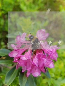 人人贷逾期一年怎么解决 人人贷逾期一年怎么解决