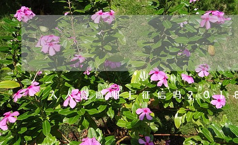 人人贷逾期上征信吗2018 人人贷逾期上征信吗2018