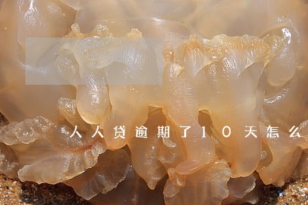 人人贷逾期了10天怎么办 人人贷逾期了10天怎么办