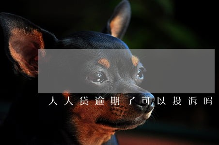 人人贷逾期了可以投诉吗 人人贷逾期了可以投诉吗