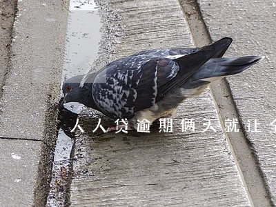 人人贷逾期俩天就让全额还款