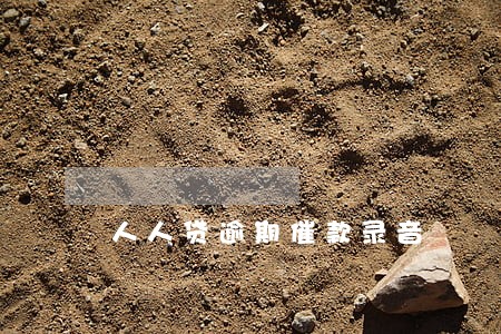 人人贷逾期催款录音 人人贷逾期催款录音