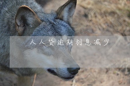 人人贷逾期利息减少 人人贷逾期利息减少