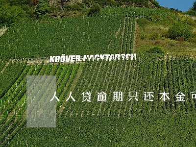 人人贷逾期只还本金可以不 人人贷逾期只还本金可以不