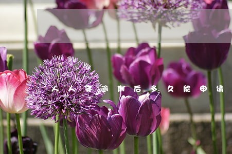 人人贷逾期后多久能申请 人人贷逾期后多久能申请