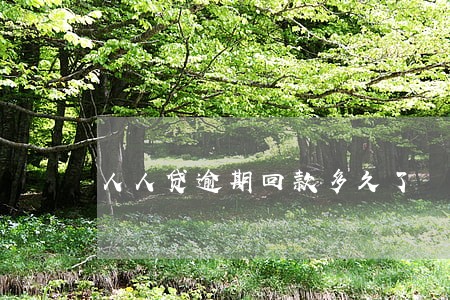 人人贷逾期回款多久了