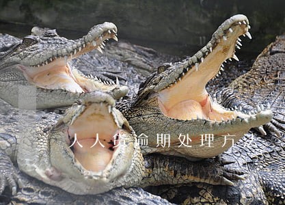 人人贷逾期处理方法