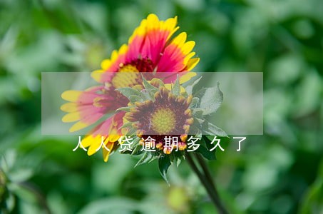人人贷逾期多久了 人人贷逾期多久了