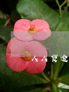 人人贷逾期多久才会上征信 人人贷逾期多久才会上征信