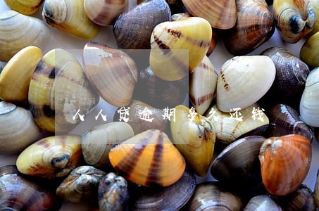 人人贷逾期多久还钱